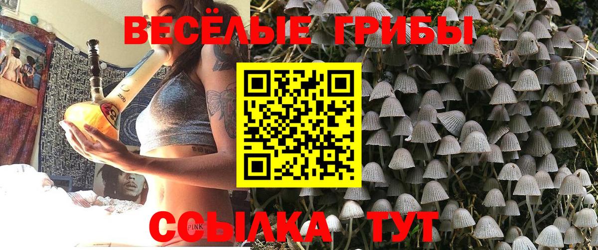 Галлюциногенные грибы прущие грибы  Вход с VPN  Ейск 
